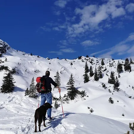 Stablblick - Lechtal *