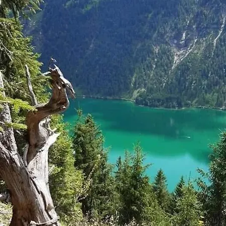 Fritz Alpchalets - Stablblick
