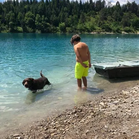 Stablblick - Lechtal Apartment *