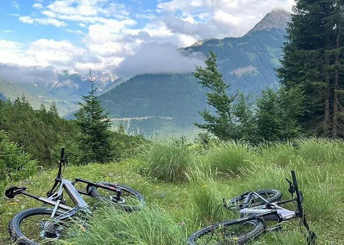 Stablblick - Lechtal Häselgehr