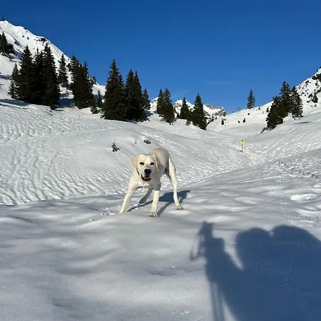 アパート Stablblick - Lechtal *