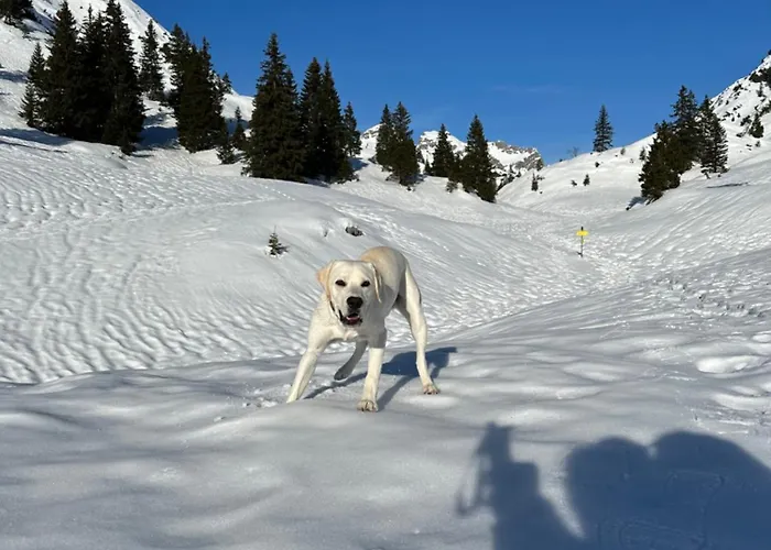Apartamento Stablblick - Lechtal *