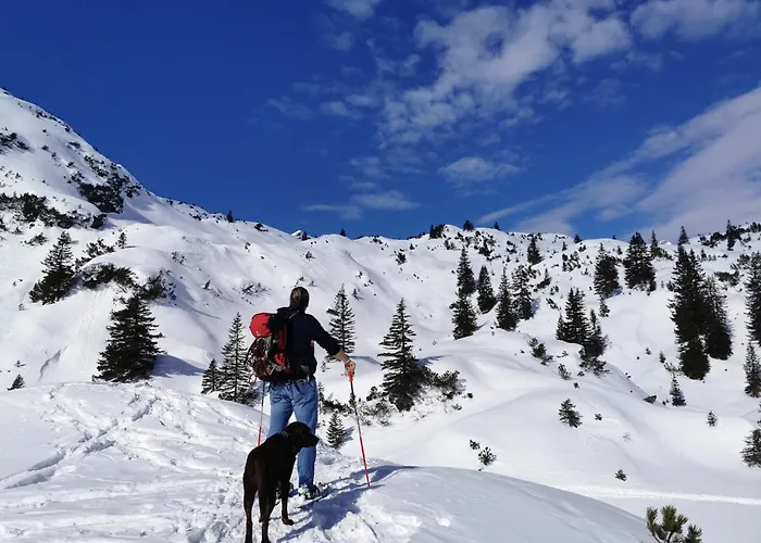Stablblick - Lechtal *