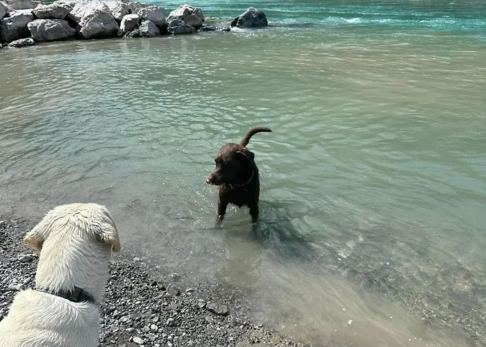 Stablblick - Lechtal Apartamento